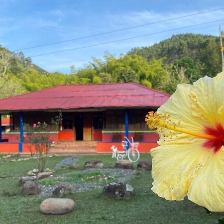 Brisas Del Rio Salento Casa de hóspedes Exterior foto