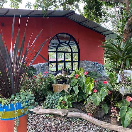 Brisas Del Rio Salento Casa de hóspedes Exterior foto