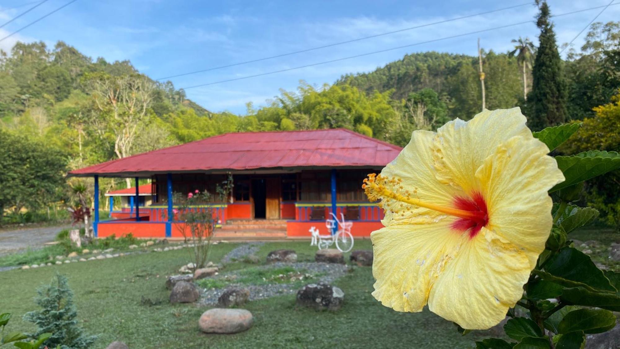 Brisas Del Rio Salento Casa de hóspedes Exterior foto