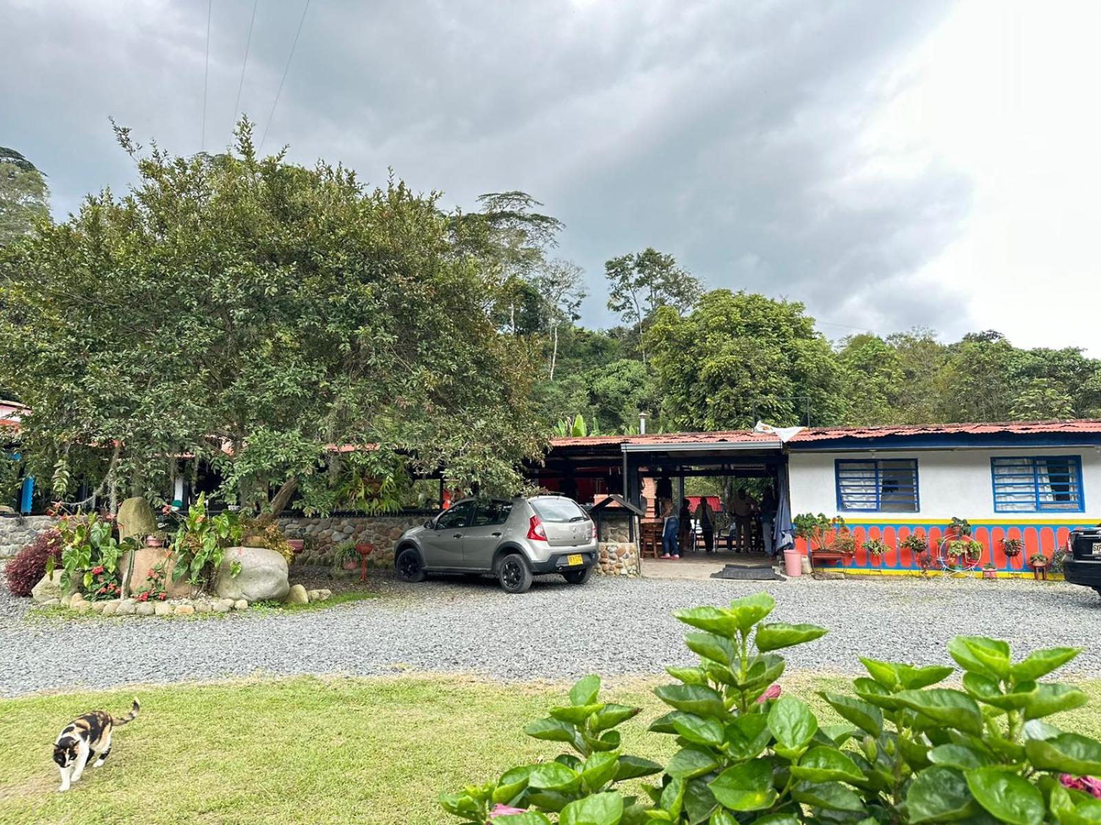 Brisas Del Rio Salento Casa de hóspedes Exterior foto