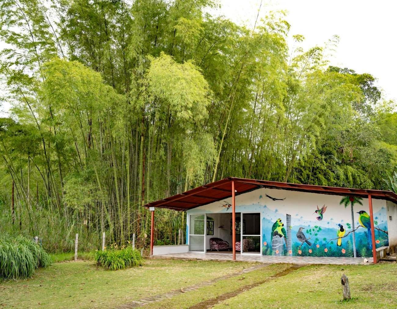 Brisas Del Rio Salento Casa de hóspedes Exterior foto